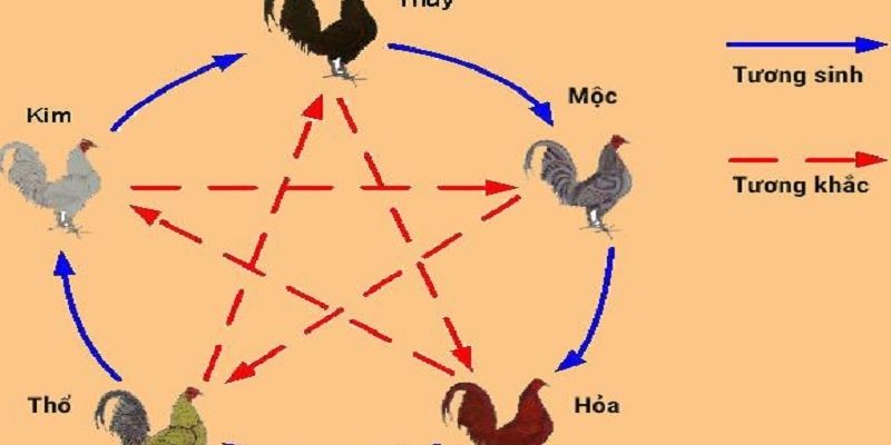Màu Mạng Gà Đá - Cách Xem Cực Chuẩn Bởi Chuyên Gia 78WIN 